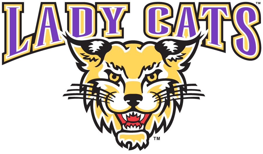 Western Carolina Catamounts 2003-2008 Secondary Logo diy iron on heat transfer